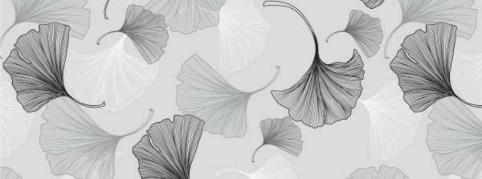 Ginko Gris.jpg